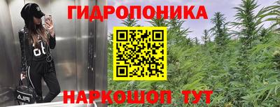 Альфа ПВП Аргун