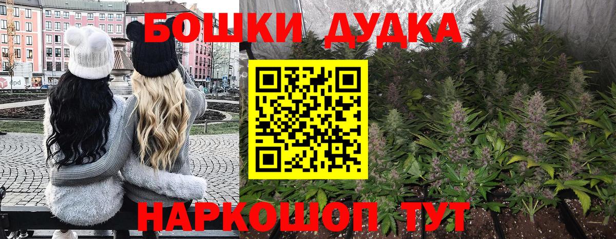 Бошки Шишки индика Большой Камень